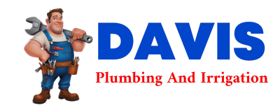 Trusted plumber in COLUMBUS JUNCTION